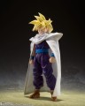 The Warrior Who Surpassed Goku