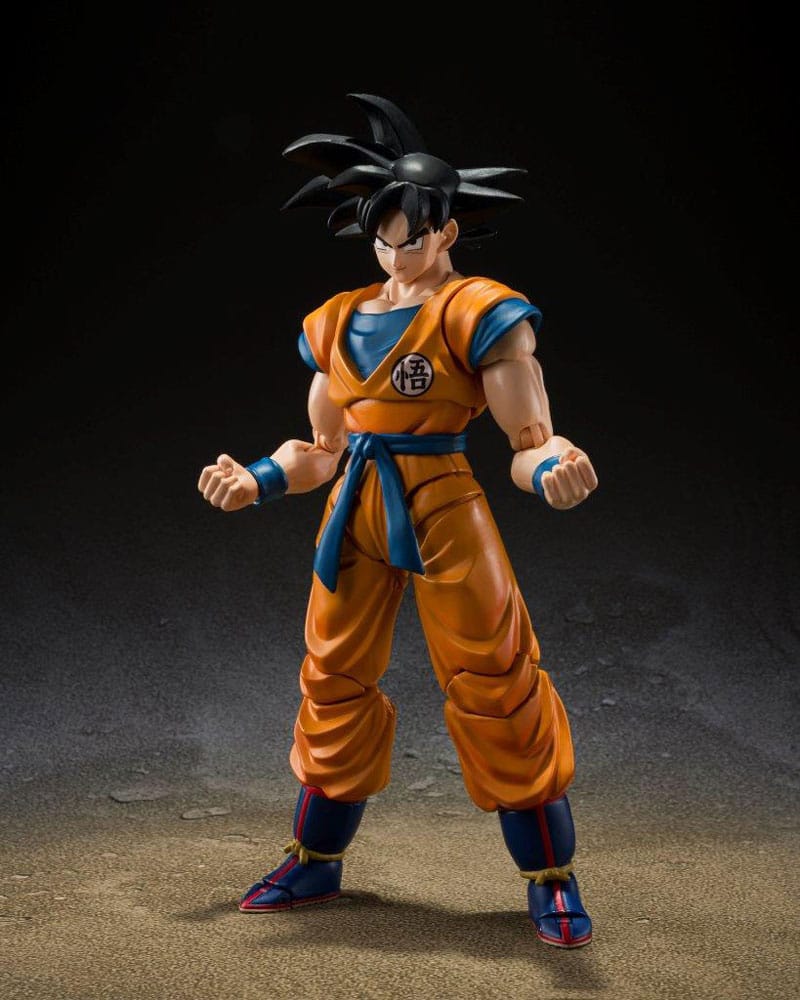 goku shf.jpg